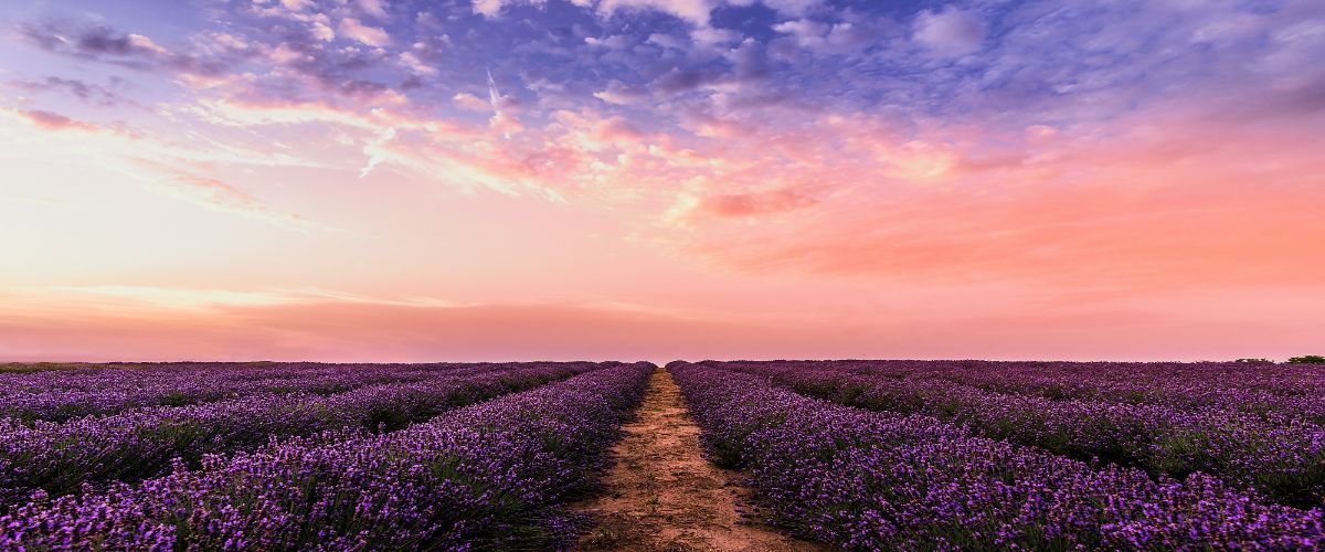 When you reach for what feels impossible, you grow into a beautiful version of what is possible. ~Angie Weiland-Crosby