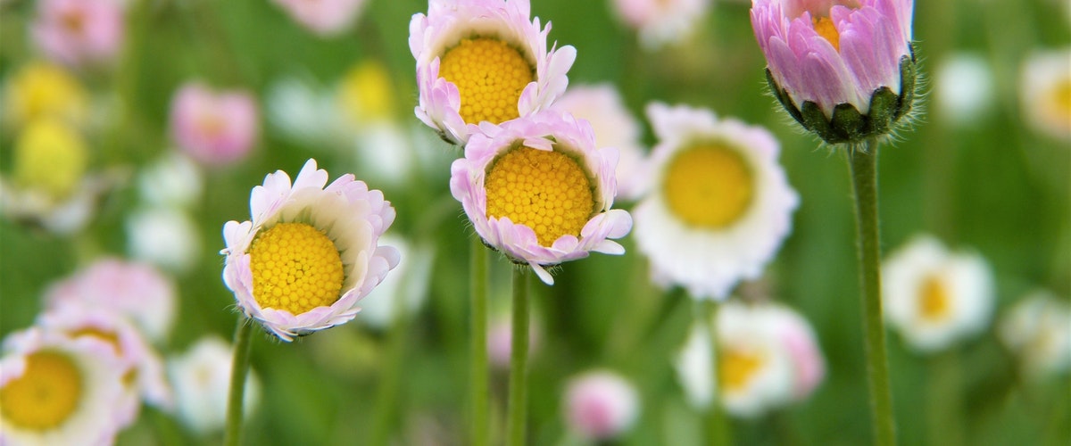 Not ready to spring into Spring? 